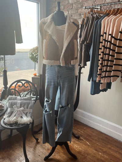 Faux Suede Inner Fur Zip Up Vest